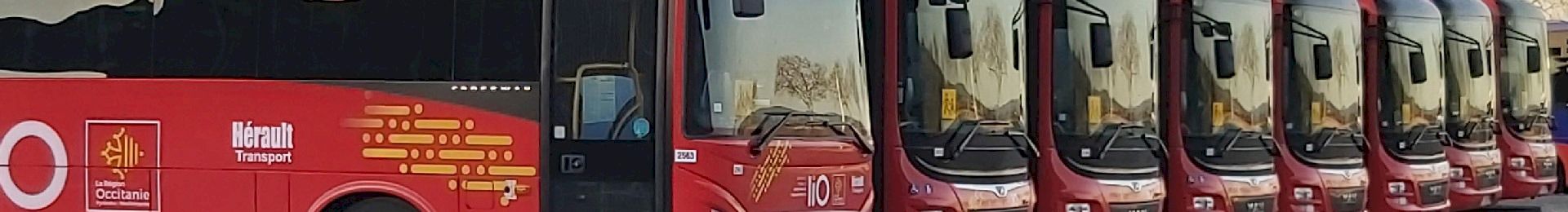 Bus scolaire ado